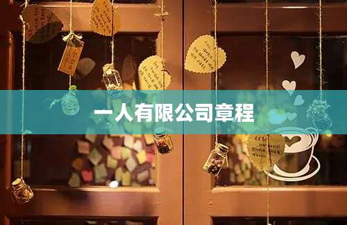 一人有限公司章程