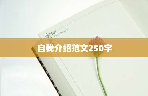 自我介绍范文250字