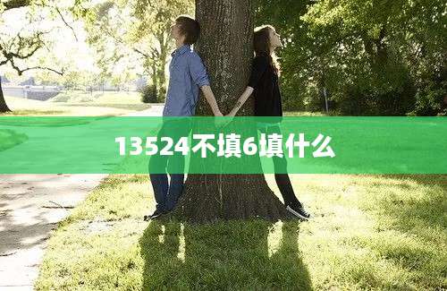 13524不填6填什么