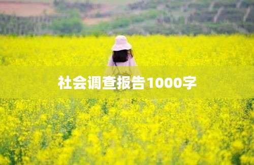 社会调查报告1000字