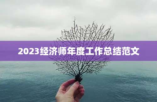 2023经济师年度工作总结范文