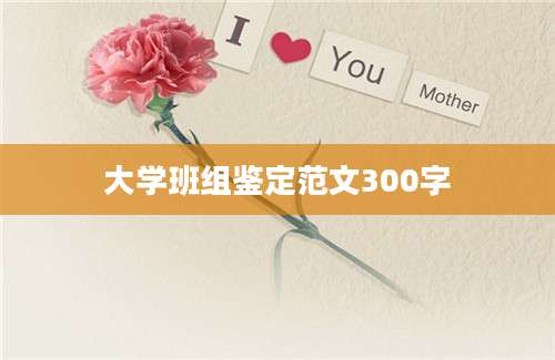 大学班组鉴定范文300字