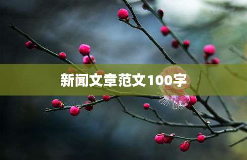 新闻文章范文100字