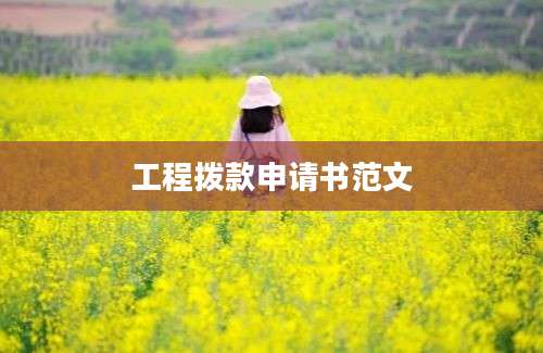 工程拨款申请书范文