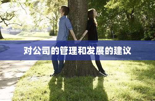 对公司的管理和发展的建议