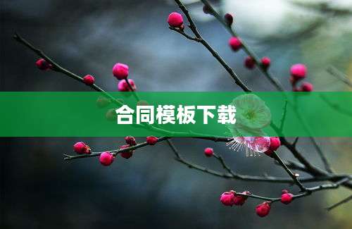合同模板下载