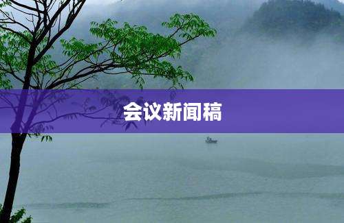 会议新闻稿