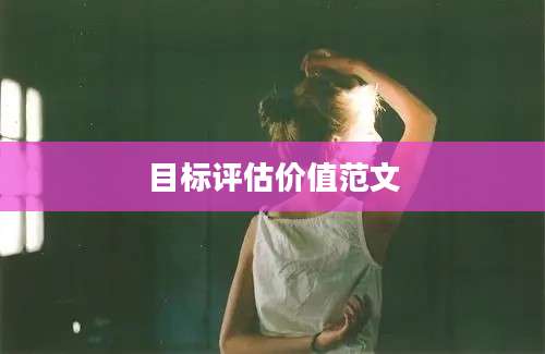目标评估价值范文
