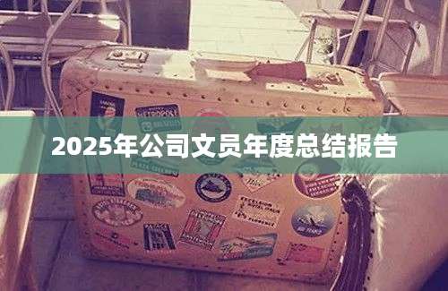 2025年公司文员年度总结报告