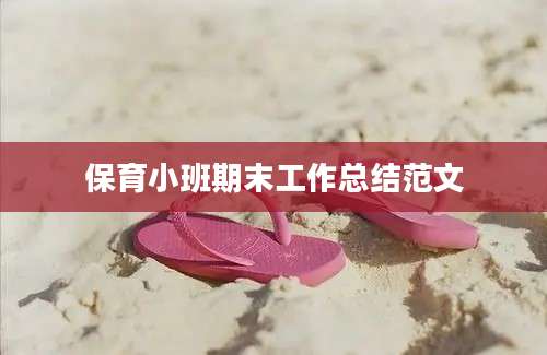 保育小班期末工作总结范文