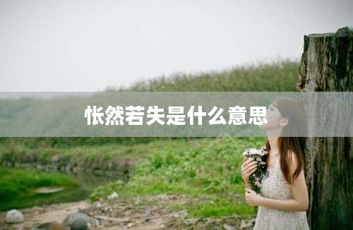 怅然若失是什么意思