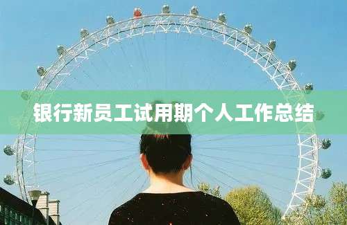 银行新员工试用期个人工作总结