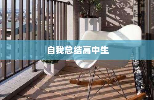自我总结高中生