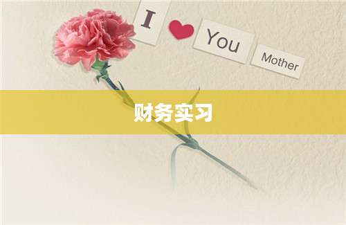 财务实习