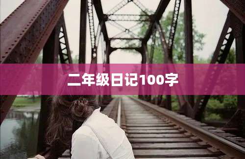 二年级日记100字