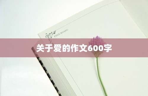 关于爱的作文600字