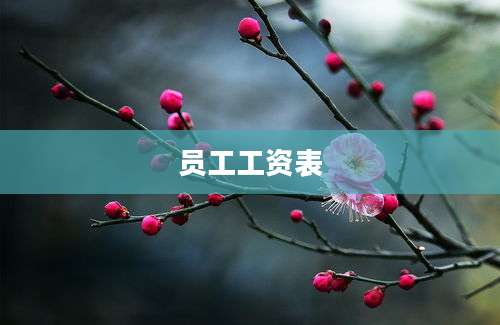 员工工资表