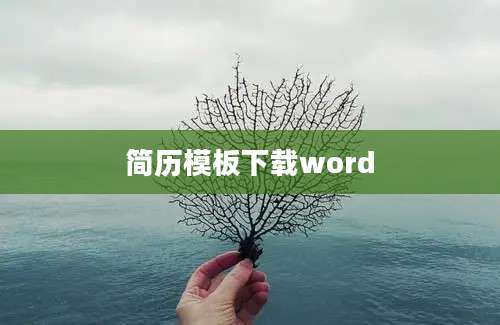 简历模板下载word