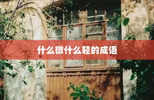 什么微什么轻的成语