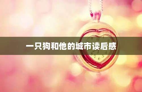 一只狗和他的城市读后感
