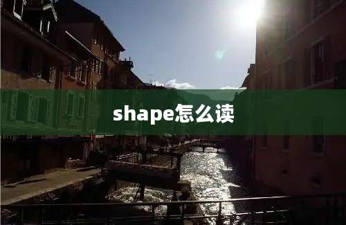 shape怎么读