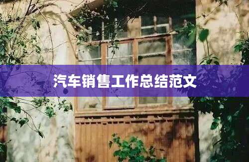 汽车销售工作总结范文