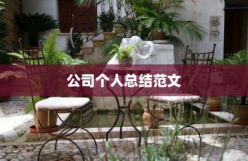 公司个人总结范文