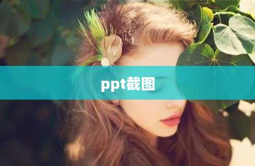 ppt截图