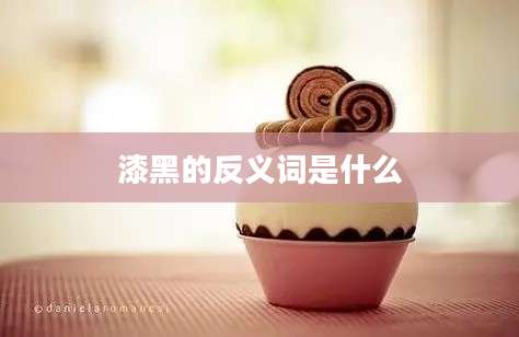 漆黑的反义词是什么