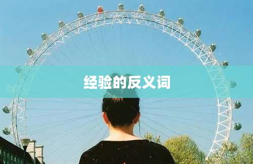 经验的反义词