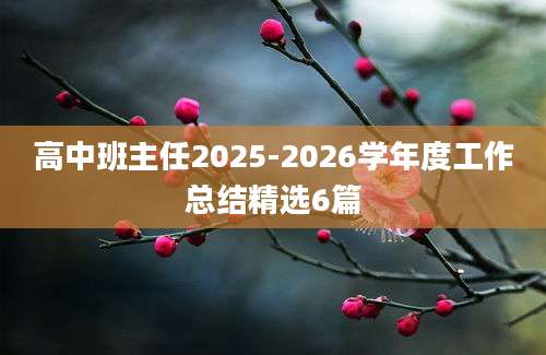 高中班主任2025-2026学年度工作总结精选6篇