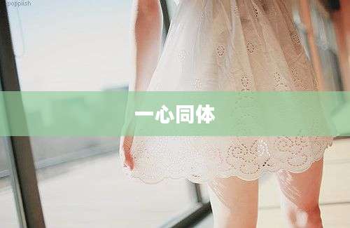 一心同体