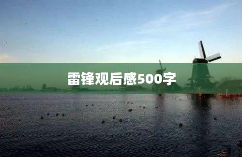 雷锋观后感500字