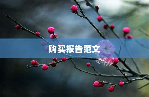 购买报告范文