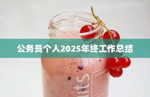 公务员个人2025年终工作总结