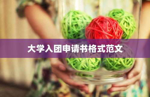 大学入团申请书格式范文