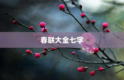 春联大全七字