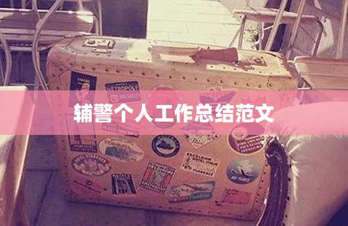 辅警个人工作总结范文