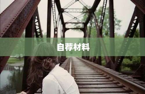 自荐材料