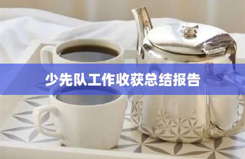 少先队工作收获总结报告