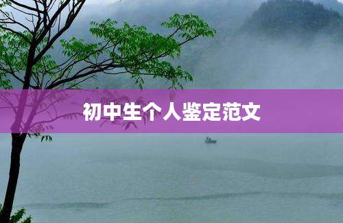 初中生个人鉴定范文
