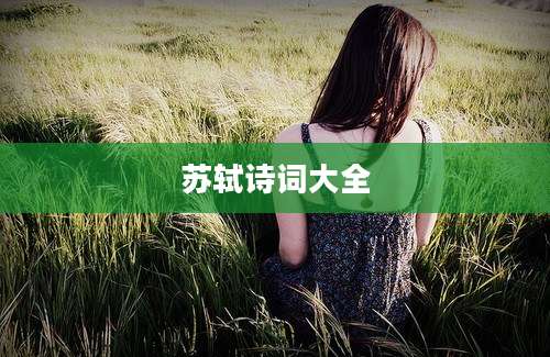 苏轼诗词大全