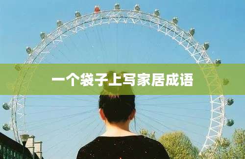 一个袋子上写家居成语