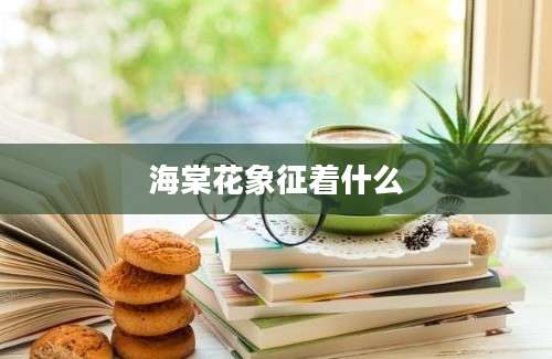 海棠花象征着什么