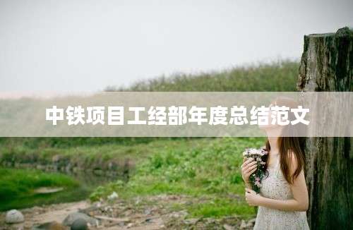 中铁项目工经部年度总结范文
