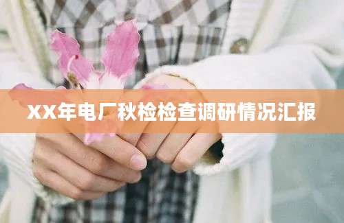 XX年电厂秋检检查调研情况汇报