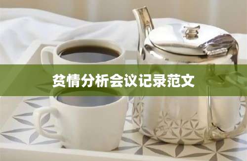 贫情分析会议记录范文