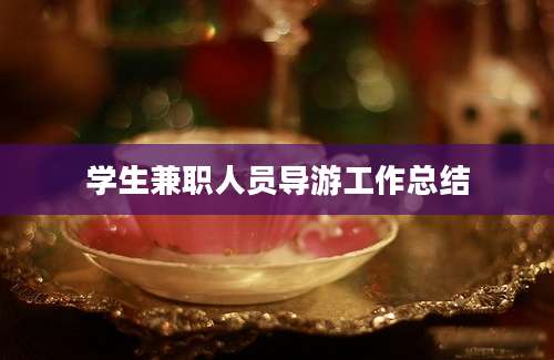 学生兼职人员导游工作总结