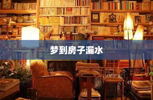 梦到房子漏水