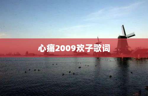 心痛2009欢子歌词